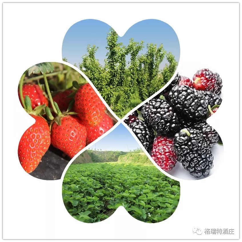 15710191038000.jpg 640 (1).webp (2).jpg