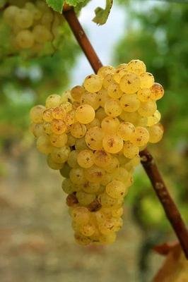 15722425857698.jpg t015edc3b2965f97435.jpg