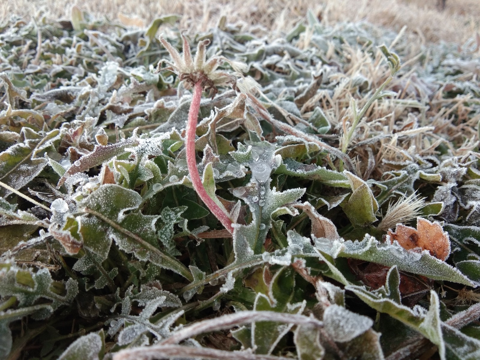 15756973481044.jpg 微信圖片_20191206100745.jpg