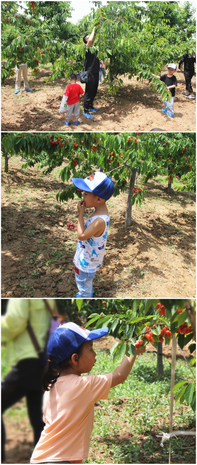 15898699561834.jpg 22.jpg