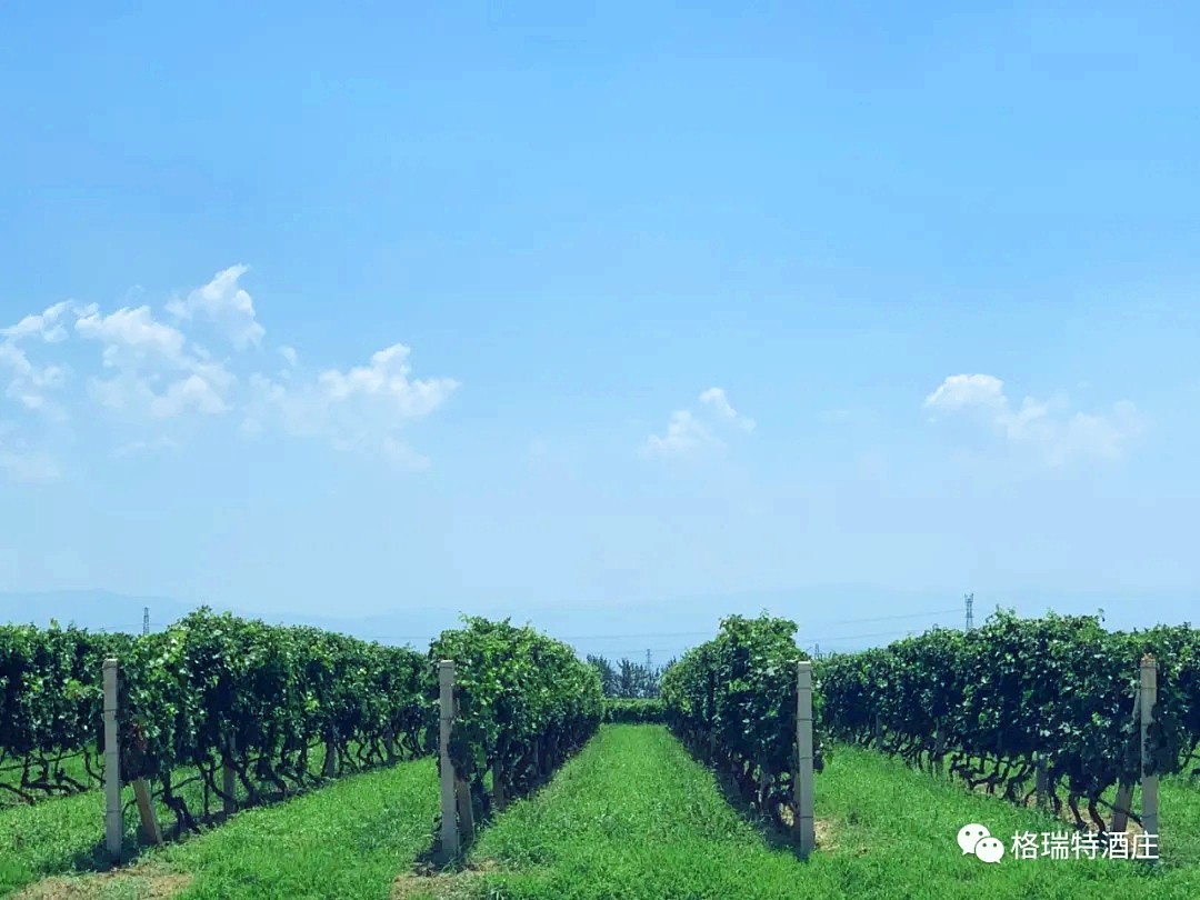 15995560494846.jpg 640.webp_副本.jpg