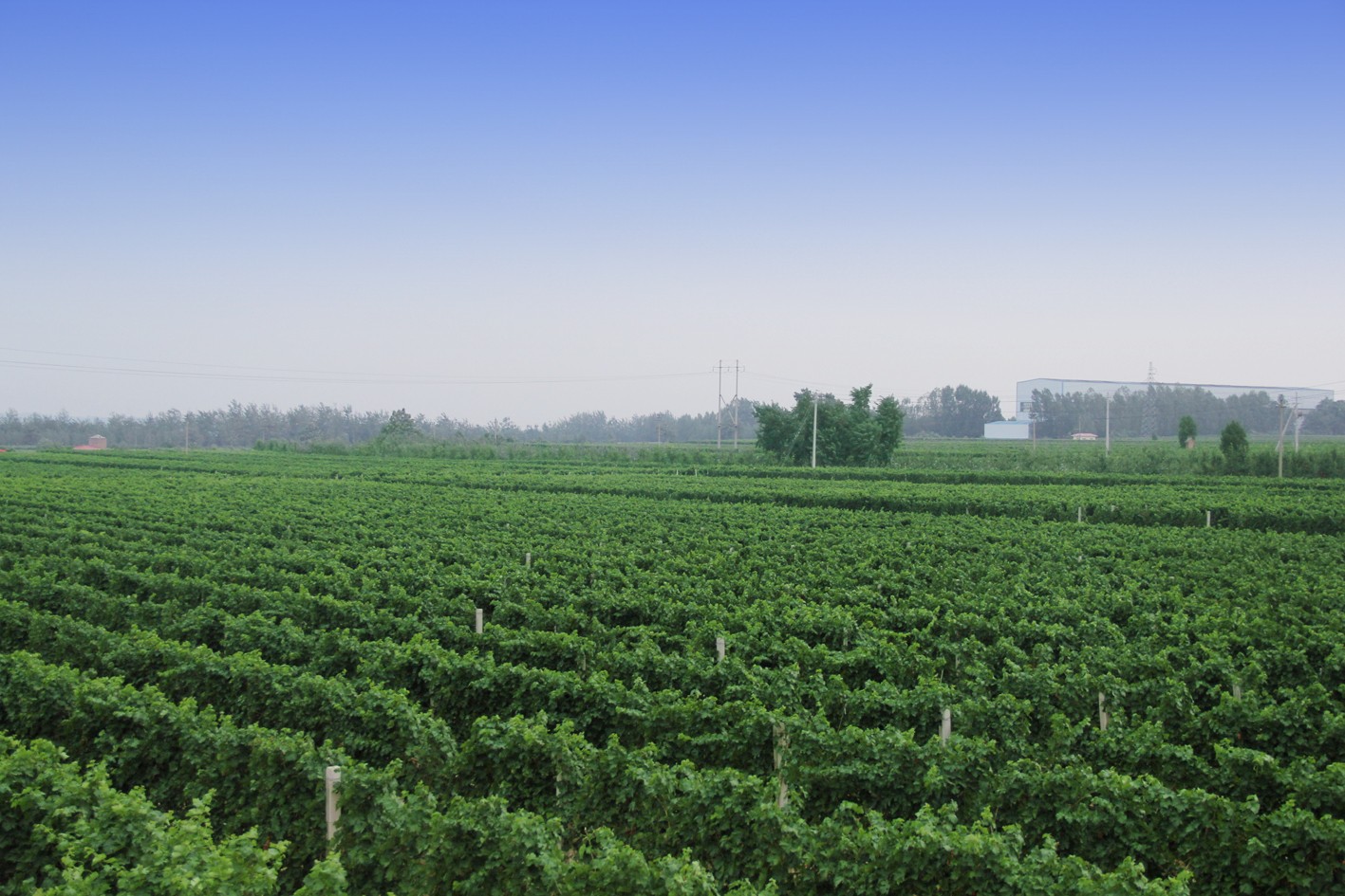 15997862275331.jpg 7.jpg