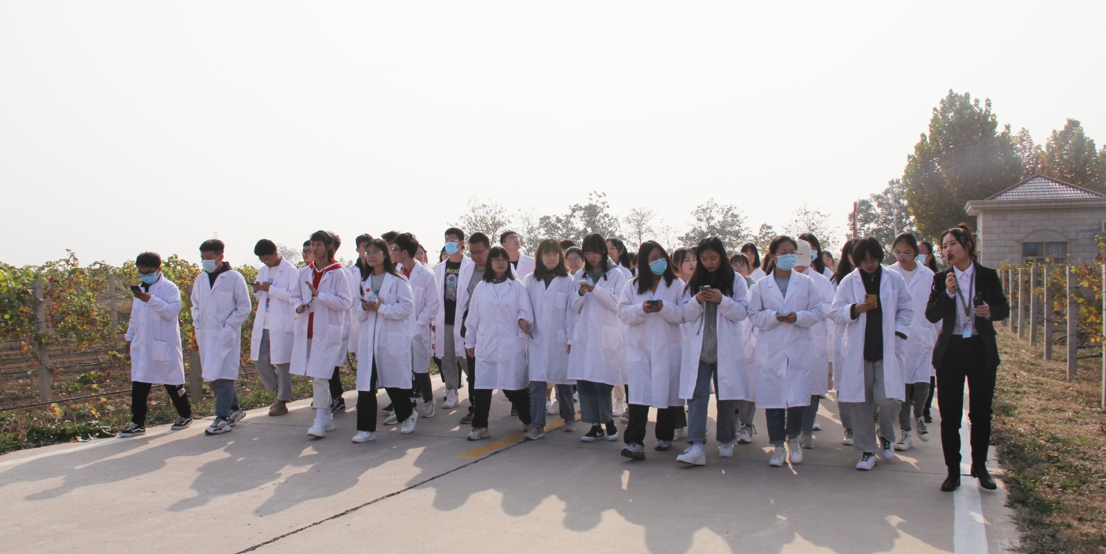 16054953702368.jpg 12.jpg