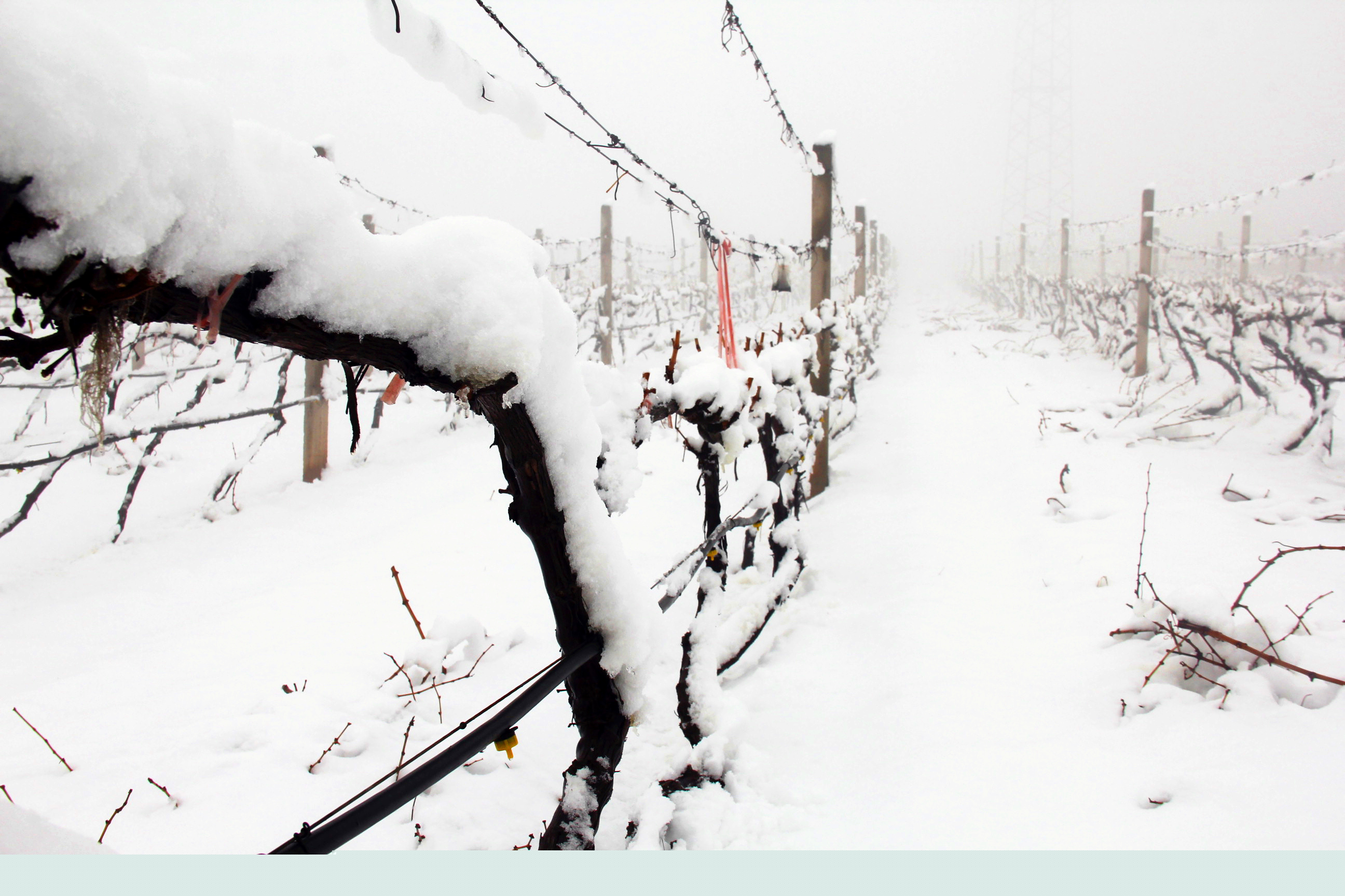 瑞雪兆豐年 ▎時(shí)光正好，歲月極美，何必覓遠(yuǎn)方